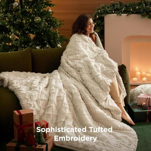 Bedsure Tufted Boho Comforter Set Twin Size - Beige Boho Bed Set, GentleSoft™ 2 Pieces Farmhouse Shabby Chic Embroidery Bedding, Gifts for Woman, Soft Jacquard Twin Comforter for All Seasons