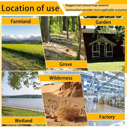 Heavy Duty Live Trap 37x13x14.5 Inch Steel Collapsible with Humane Trap Release Door for Stray Cats, Raccoons, Skunks, Groundhogs, Armadillos and Other Live Animals.