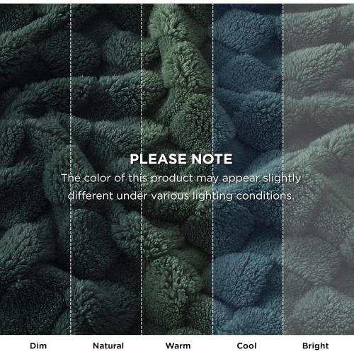 Bedsure GentleSoft Blankets  for Bed - Super Soft Cozy Spring Blanket for Kids Girls, Large Fuzzy Fleece Throw for Bedroom Decor, Dark Green,