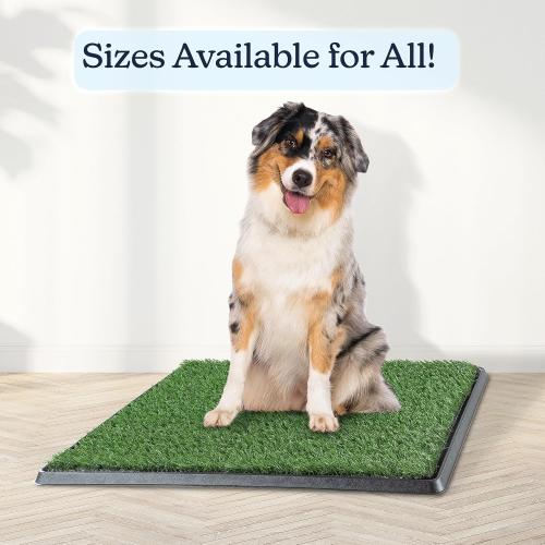 Artificial Grass Puppy Pee Pad for Dogs and Small Pets - 20x25 Reusable 4-Layer Training Potty Pad with Tray - Dog House and Pet Supplies by PETMAKER