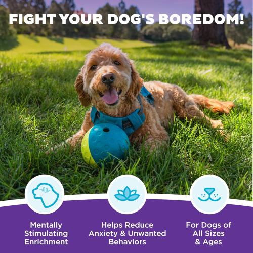 Outward Hound by Nina Ottosson Treat Tumble Interactive Puzzle Ball Dog Toy, Level 1 Beginner, Blue, Small (4.75 Diameter)
