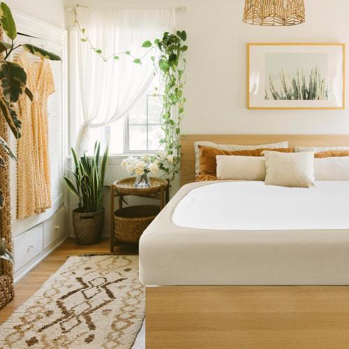 Biscaynebay Decorative Box Spring Cover Queen Size, Light Camel Luxurious Jersey Knitting Stretchy Wrap Around 4 Sides Bed Skirt for Home/Hotels, Easy Fit Wrinkle & Fade Free Machine Washable