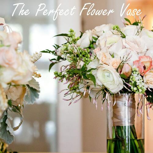 CYS Excel Large Glass Cylinder Vase (H:16 D:8) Flower Vase Centerpieces Hurricane Floating Pillar Candle Holder Terrarium Planter