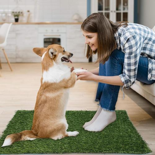 2Pack 18.75x15 Artificial Dog Grass Pee Pad 18.75x15 2 Pack, Washable Indoor Potty Training Replacement Turf for Puppy, Reusable Realistic Grass Mat for Dogs