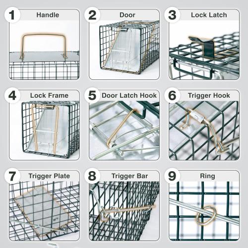 HOMESTEAD Heavy Duty Live Trap - Professional Style One-Door Live Animal Traps for Rabbit, Squirrel, Possum, Skunk, Kitten, Mink Small