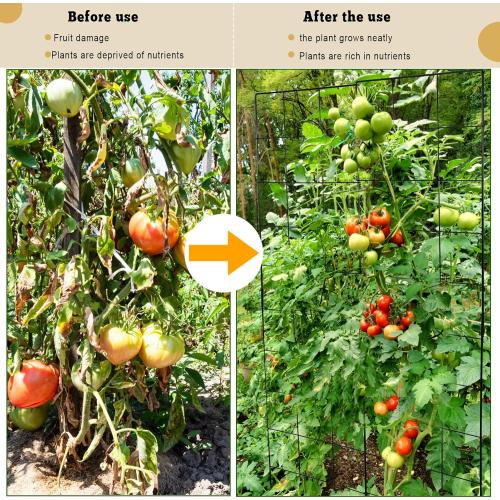 59 H x 31 L Foldable Cucumber Trellis for Climbing Plants,Two Panel Frame Garden Trellis,Raised Bed Vegetables Trellis for Bean,Peas,Grape,Cucumber,Fruit,Flower