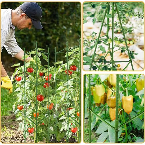 6 Pack Tomato Cages for Garden, 48” Metal Tomato Plant Support, Heavy Duty Tomato Cages for Pots, Tomato Trellis for Raised Garden Bed
