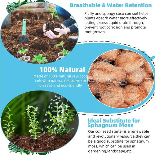 Coco Coir Bricks 6 Pack Premium 100% Organic Peat Moss, Fiber Coconut Husk for Planting, Gardening, Potting Soil Substrate
