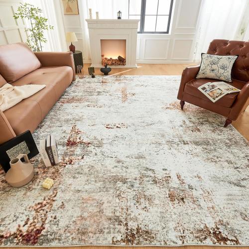 Dintszyayue Small Rugs for Bedroom 3X5 Washable Foldable Thin Neutral Soft Modern Living Room Rug Kitchen Accent Brown