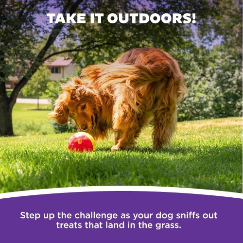 Outward Hound Nina Ottosson Treat Tumble Dog Toy Puzzle Ball,
