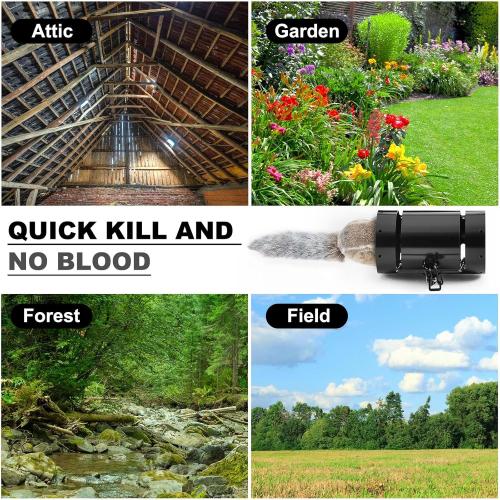 Qualirey Tube Squirrel Trap Rust Resistant Trap 4.5'' in Diameter with a Setting Tongs for Backyards Patios Gardens, Safe and Effective Pest Control Commercial and Residential Use(1 Pcs,7.5 Inch)