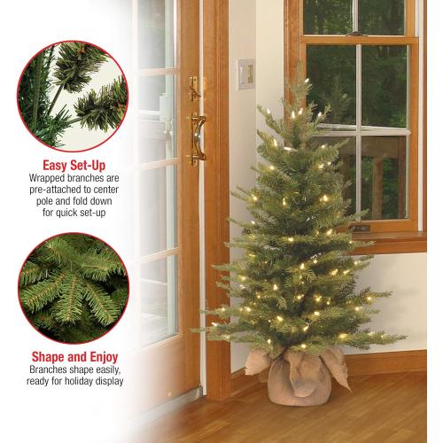 National Tree Company 3 ft Pre-Lit Nordic Spruce Mini Artificial Christmas Tree, 100 Clear Lights, 363 Tips, Burlap Base, Green