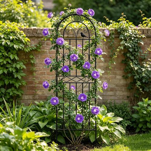 1 Pack 70.8x19.7 Metal Gardon Trellis for Climbing Plants Flowers Outdoor | Rustproof, Heavy Duty, Black Coating Gardon Trellis for Rose, Vines, Flowers, Perfect for Training Climbing Plants, Black