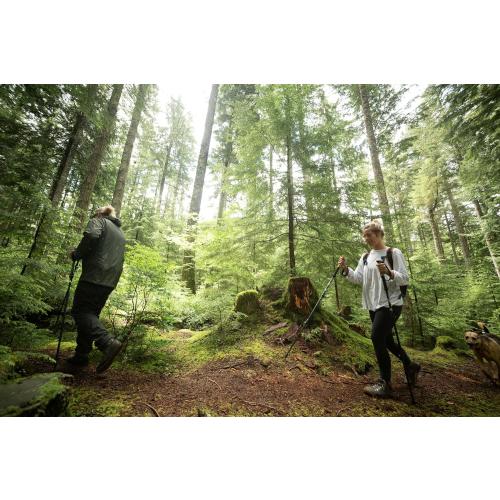 Cascade Mountain Tech Lightweight Aircraft-Grade Aluminum Trekking Poles with Extended Down Grip Plus Tip Kit