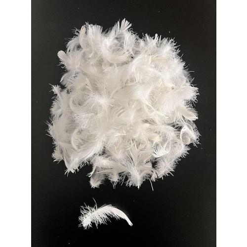 Bulk Goose Down Feather Stuffing & Fill – Hypoallergenic Pillow Filling, Repair, Restuff, Fluff for Couch Cushions, Comforters, Jackets5/95-1Lb DIY