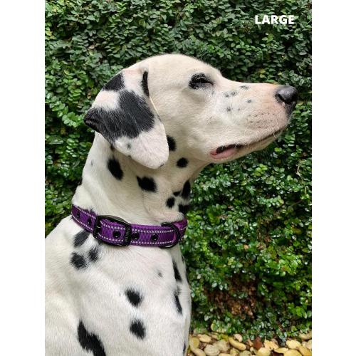 Tuff Pupper Ultra Comfort Padded Dog Collar | Thick Neoprene Padding | Ballistic Nylon Strap Dog Collar with Reflective Stitching | Durable Metal Buckle & Integrated ID Tag Holder | Waterproof Collars MEDIUM