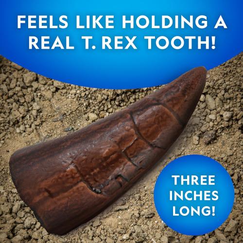 NATIONAL GEOGRAPHIC Dino Fossil Dig Kit & Dinosaur Book for Kids- Excavate a Replica Dinosaur Tooth Fossil and Study Paleontology with a Full-Color Dinosaur Activity Book for Kids (Amazon Exclusive)
