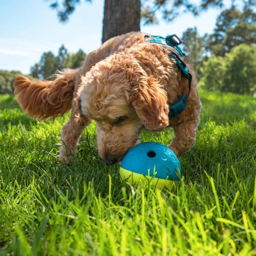 Outward Hound by Nina Ottosson Treat Tumble Interactive Puzzle Ball Dog Toy, Level 1 Beginner, Blue, Small (4.75 Diameter)