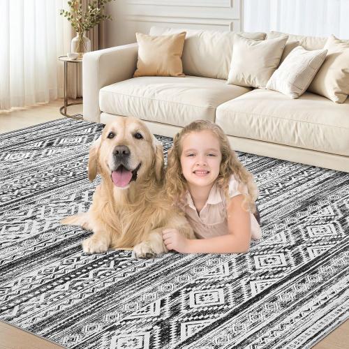 5x7 Area Rug for Living Room, Washable Non-Slip Large Area Rug, Indoor Floor Carpet Low Pile Soft Boho Farmhouse Rug for Bedroom Dining Room （White/Black，5x7）
