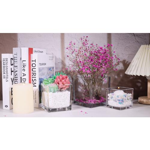 Set of 6 Square Glass Vases 4 x 4 x 4, Clear Flower Vase, Plant Terrarium, Candle Holder for Wedding Centerpiece, Office Decorations, Home Décor, Parties and Events