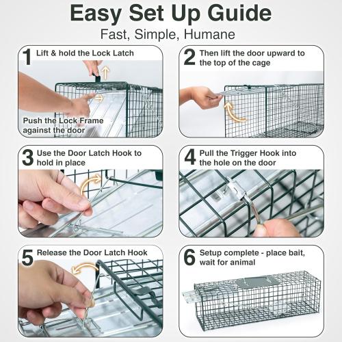 HOMESTEAD Heavy Duty Live Trap - Professional Style One-Door Live Animal Traps for Rabbit, Squirrel, Possum, Skunk, Kitten, Mink Small