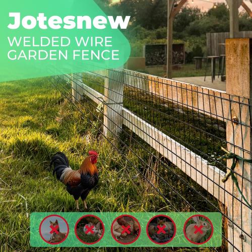 Size 48 Inch x 50 Foot, 2 Inch x 3 Inch Garden Fence Black PVC Coated Welded Wire Fencing 48 Inch x 50 Foot, 2 Inch x 3 Inch 16GA, Garden Border Fencing Roll Vinyl Coating Metal Wire Mesh for Yard Vegetable Plant Protection Poultry Netting