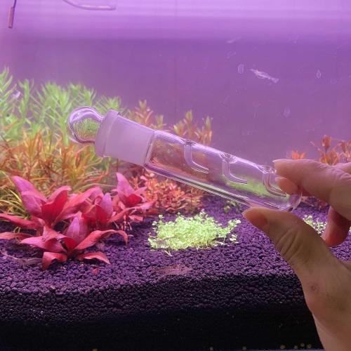 2 Pack 3 Holes Planaria Trap for Aquarium Bristle Worm Catcher Worm Trap for Fish Tank Leeches Catcher for Cherry Shrimp Tank
