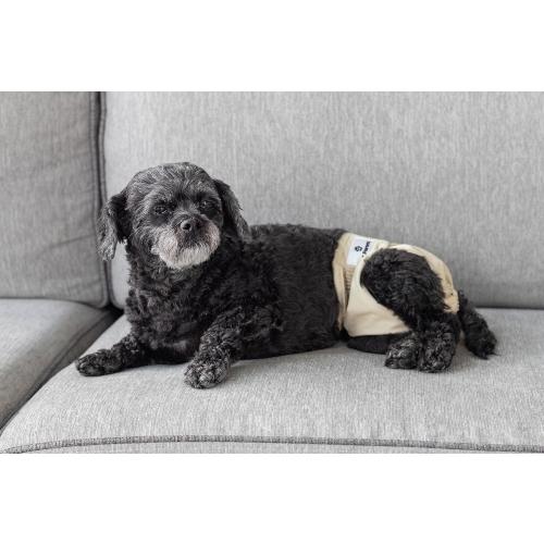 Size M VUNCESSIN Washable Dog Diapers (2 Pack)