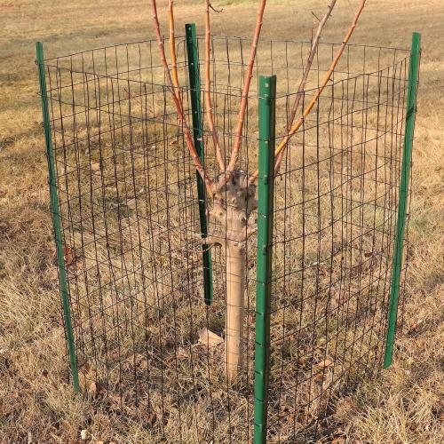 Black PVC Coated Welded Wire Fence 24 Inch x 50 Foot, 2 Inch x 3 Inch 16GA, Garden Border Fencing Roll Vinyl Coating Metal Wire Mesh for Yard Vegetable Plant Protection Poultry Netting