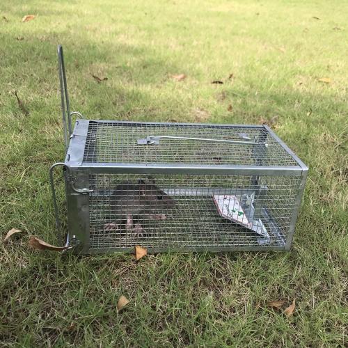 Kensizer Humane Rat Trap, Chipmunk Rodent Trap That Work for Indoor and Outdoor Small Animal - Mouse Voles Hamsters Live Cage Catch and Release 1-Pack Small 10.5 L x 5.5 W x 4.5 H