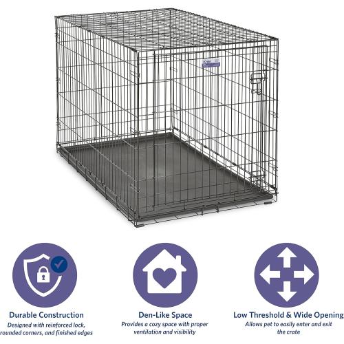 MidWest Homes for Pets 48-Inch iCrate Folding Dog Crate with Divider Panel, Leak-Proof Tray & Secure Latches – Metal Wire Kennel for XL Breeds – Portable, Durable & Easy to Assemble