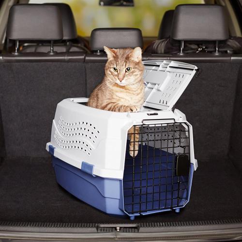 Amazon Basics 2-Door Top-Load Hard-Sided Dogs, Cats Pet Travel Carrier, Gray & Blue, 22.8L x 15.0W x 13.0H