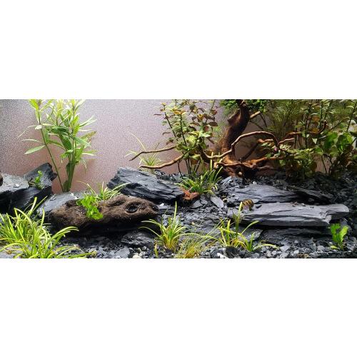 Natural Slate Stones 8 to 10 Inches - USA Sourced and Packaged for Aquascaping Aquariums, Terrariums, Paludariums, Reptile Enclosures, and Gardens (8-9 lbs)