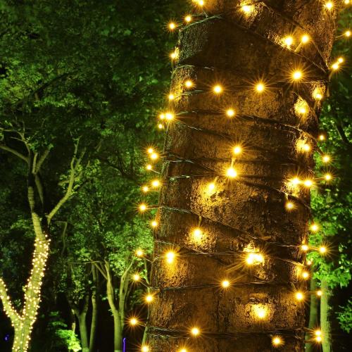 PMS 100-1000 LED Christmas Lights, Low Voltage Fairy String Lights with 8 Modes, Ideal for Xmax Tree, Garden, Home, Party, Halloween Festival Deco (Warm White, 200 LEDs)