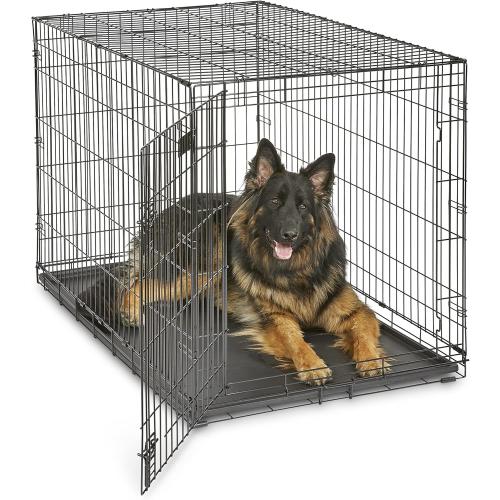 MidWest Homes for Pets 48-Inch iCrate Folding Dog Crate with Divider Panel, Leak-Proof Tray & Secure Latches – Metal Wire Kennel for XL Breeds – Portable, Durable & Easy to Assemble