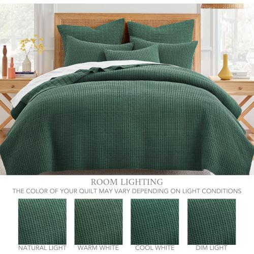 Queen Size Comforter Set with 2 Pillowcases, Forest Green - Cotton Comforter Set - Soft, Pre-Washed