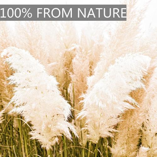 11pcs 40'' Pampas Grass Tall Decor - Pompas Floral, Tall Pampas Grass for Floor Vases, Living Room Floor, Floor Plants, Plumas para, and Grass Wall Decor