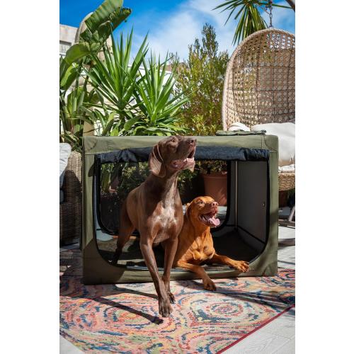 Noah & Paw Collapsible Dog Crate 42 Inch, XXL Dog Crate for XXL, XL, Large Breeds, Travel Kennel for Car, Includes Pet Mat for Pet Cage, 2 Storage Pockets, Handbag, 10mm Locking Zippers 42 * 31 * 31