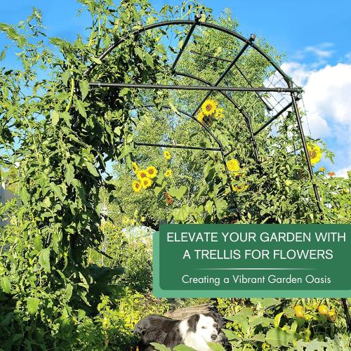 Garden Arch Trellis 7FT Extra Tall Polyethylene-Coated Stainless Steel Garden Trellis for Climbing Plants Outdoor Garden Trellis Arch for Cucumber Trellis, Gardening Trellis with Clips Trellis Netting