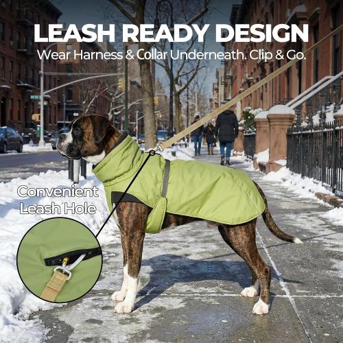 Dog Winter Puffer Coat, Water-Repellent (Green, Medium) | Breathable mesh lining with fur-safe buckle, leash hole, reflective strips and anti-slip leg straps