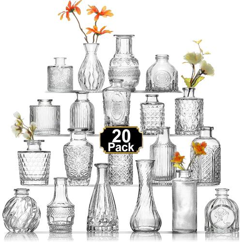 Arme Glass Bud vases in Bulk，Small Glass Flower Vase for Centerpieces 20Pcs