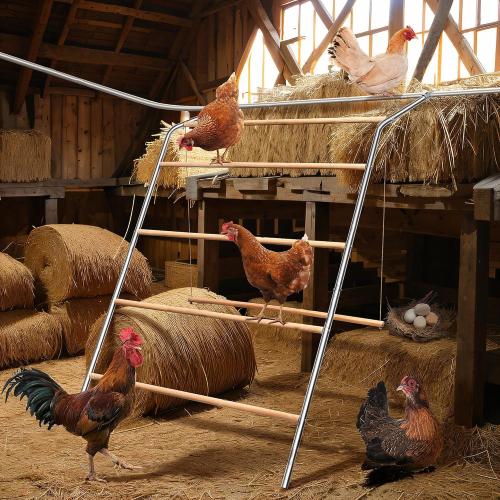 Silver Chicken Roosting Bars with Swing,Chicken Perch Bars for Coop,Chick roosting Perch,Backyard Poultry Toys,Hen Swing with Frame,Perfect for Backyard Poultry Easy Installation & Cleaning