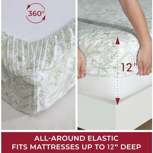 Caribbean Joe 6-Piece Sheet Set with Cooling Pillowcases, 12-inch Deep Pockets, Tropical Beach Coastal Design, KING Tropical Toile Green