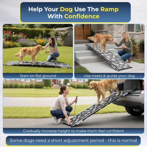 Dog Ramp for Car, SUV & Truck, 71 Long x 20 Wide, Extra Side-Strap Stability System, Non-Slip Quad-Fold Pet Ramp for Large Dogs, 250 lb Capacity (Paw Print Design)