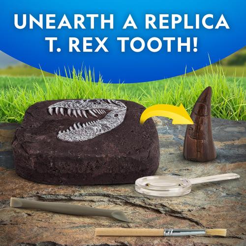NATIONAL GEOGRAPHIC Dino Fossil Dig Kit & Dinosaur Book for Kids- Excavate a Replica Dinosaur Tooth Fossil and Study Paleontology with a Full-Color Dinosaur Activity Book for Kids (Amazon Exclusive)