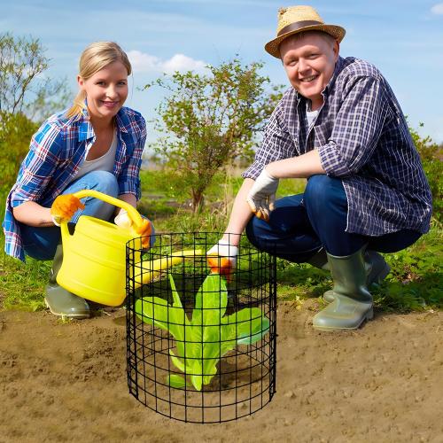 Adnee 10 Packs Wire Plant Protector from Animals - 12 H X 12 D Metal Mesh Plant Cage Covers - Sturdy Garden Bunny Barricades Chicken Wire Cloche for Plants Shrubs Vegetables Flowers