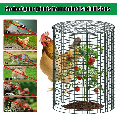5 Pack Wire Plant Protector with Cover, 16x12 Detachable Metal Plant Protectors Mesh, Garden Plant Protectors for Shrubs Flowers Vegetables to Keep Rabbit & Chicken Animals Out