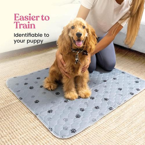 Pack of 2 Color Grey Super Absorbent Washable Pee Pads for Dogs - 2-Pack Superior Reusable Puppy Pads Pet Training Pads –100% Waterproof Dog Pee Pad Protects Against Urine Leakage Non-Slip Grip Prevents Slipping& Bunching