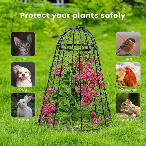 （6 Packs） 14 D x 20 H Chicken Wire Cloche, Garden Cloche Plant Protectors from Animals, with Removable Parts Design to fit Bigger Plants and Flowers