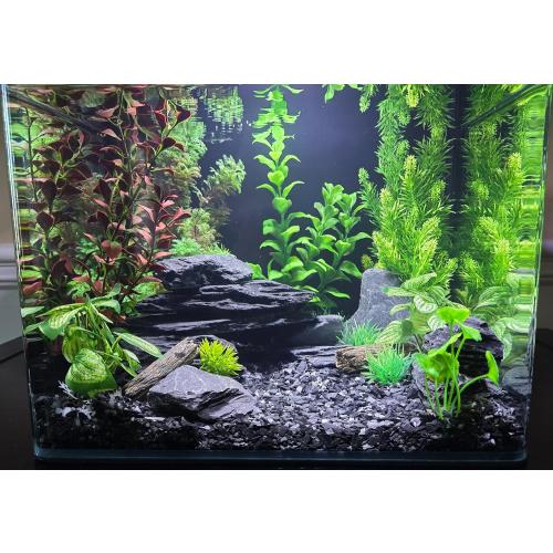 Natural Slate Stones 8 to 10 Inches - USA Sourced and Packaged for Aquascaping Aquariums, Terrariums, Paludariums, Reptile Enclosures, and Gardens (8-9 lbs)